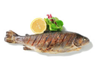 Jenkins Butchers Fresh Fish Cuts