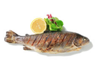 Jenkins Butchers Fish