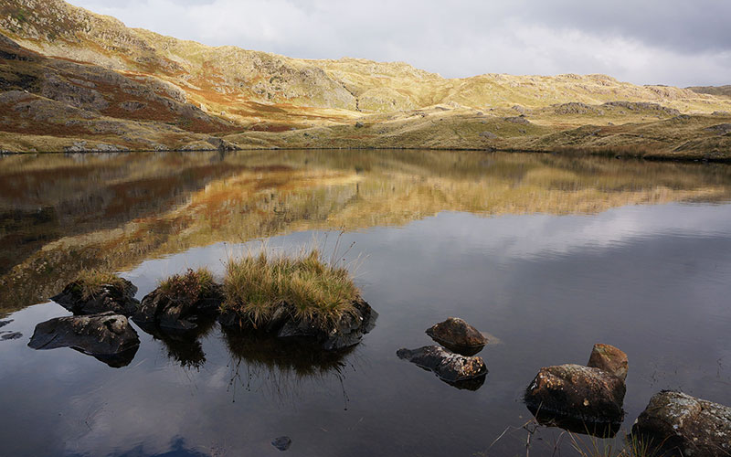 Codale Tarn