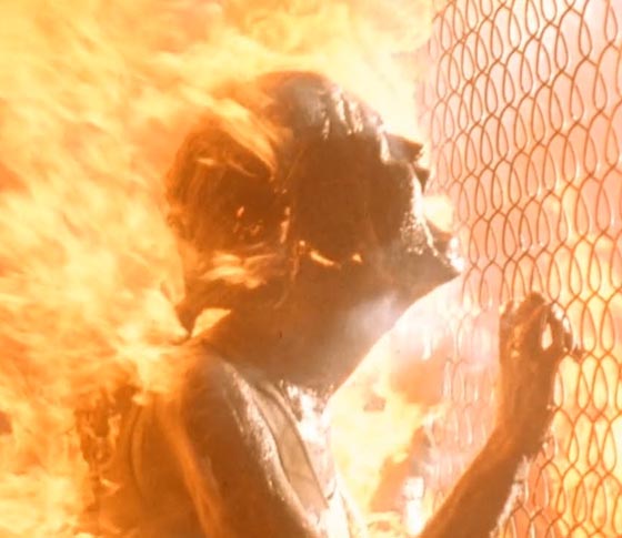 Sarah connor burns in Nuclear ash